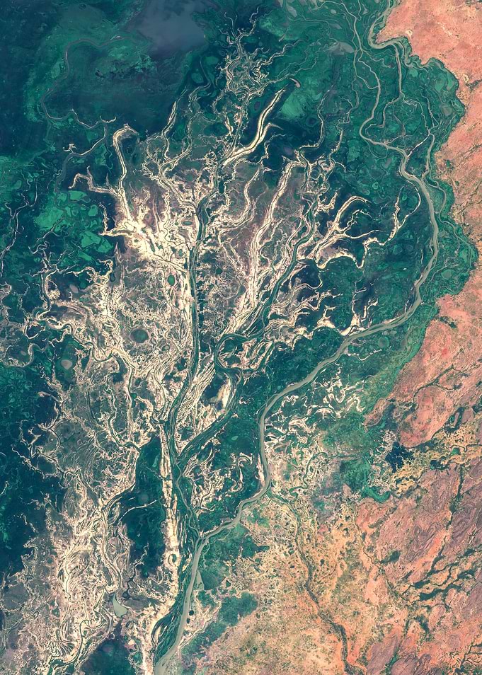 Niger inland delta