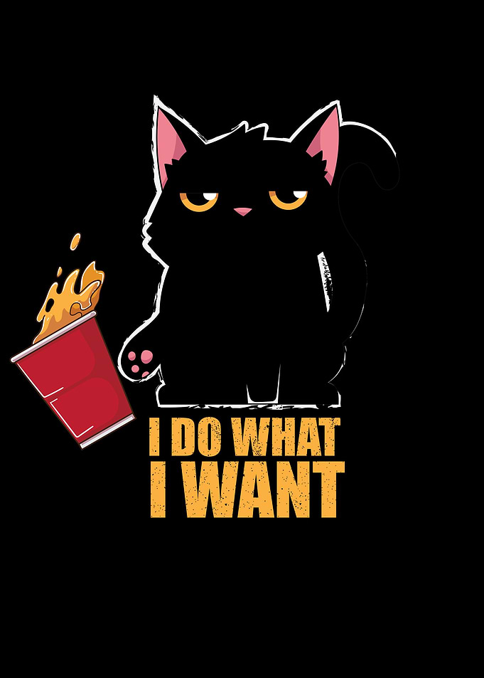 Black Cat