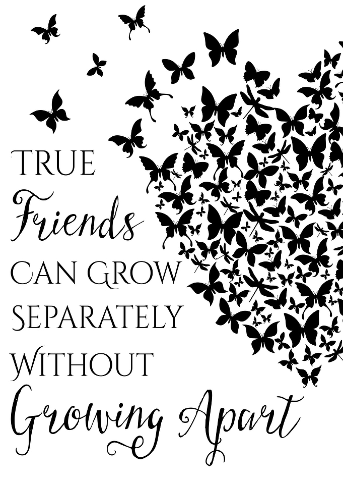 butterfly friendship heart