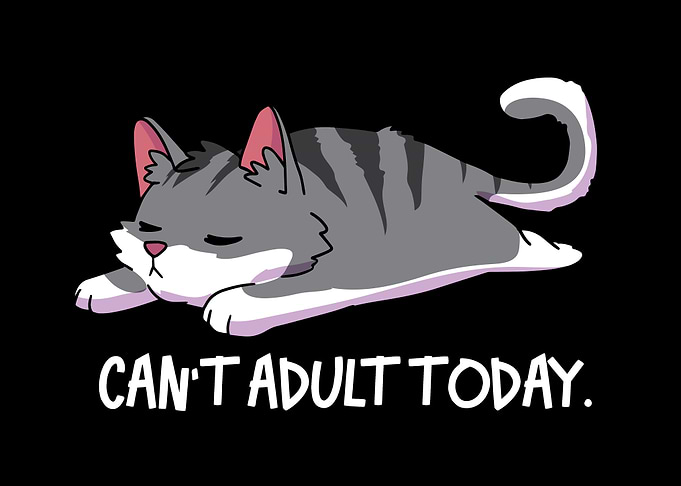 Cat Adult Today