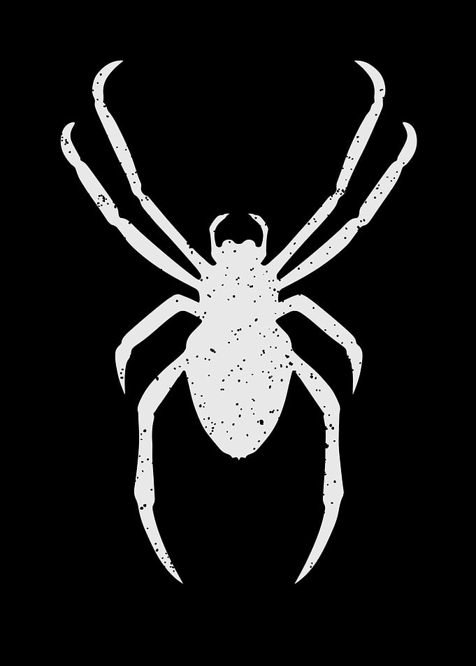 White Spider