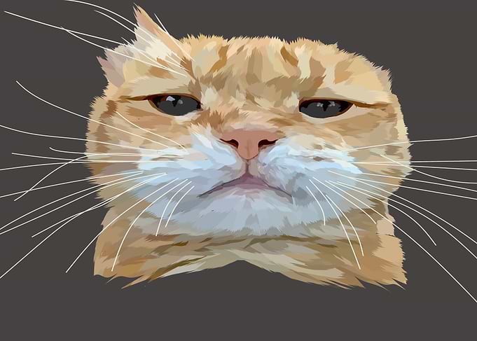 Pet Vector