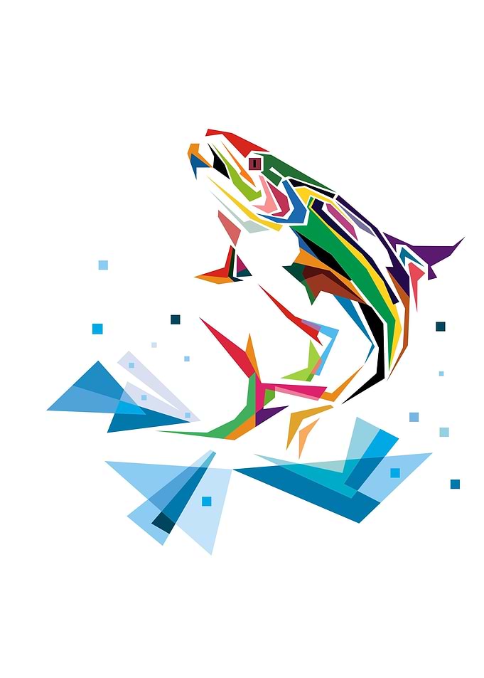 colorful fish