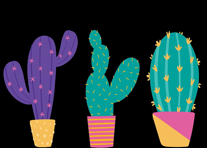 Cactus 2