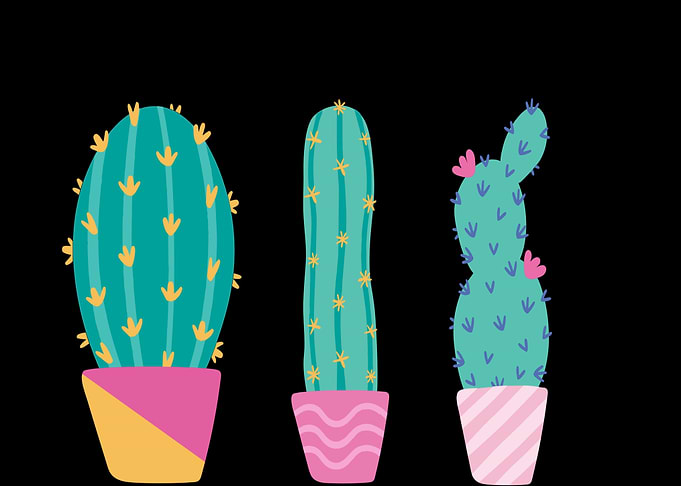 Cactus 4
