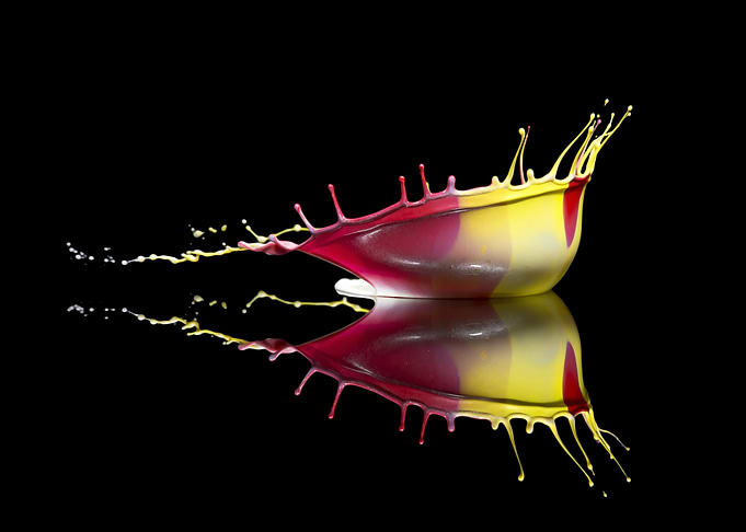 Crown 007