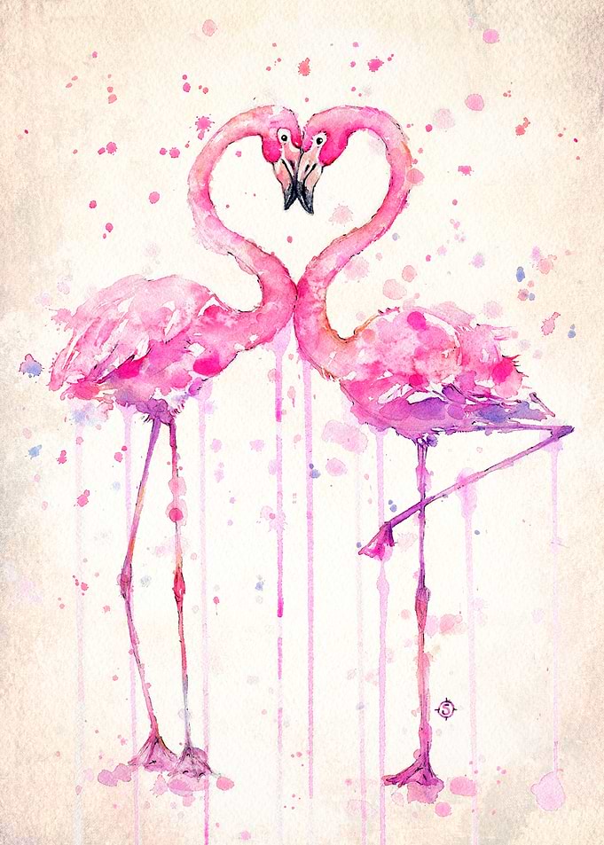 Flamingo Love