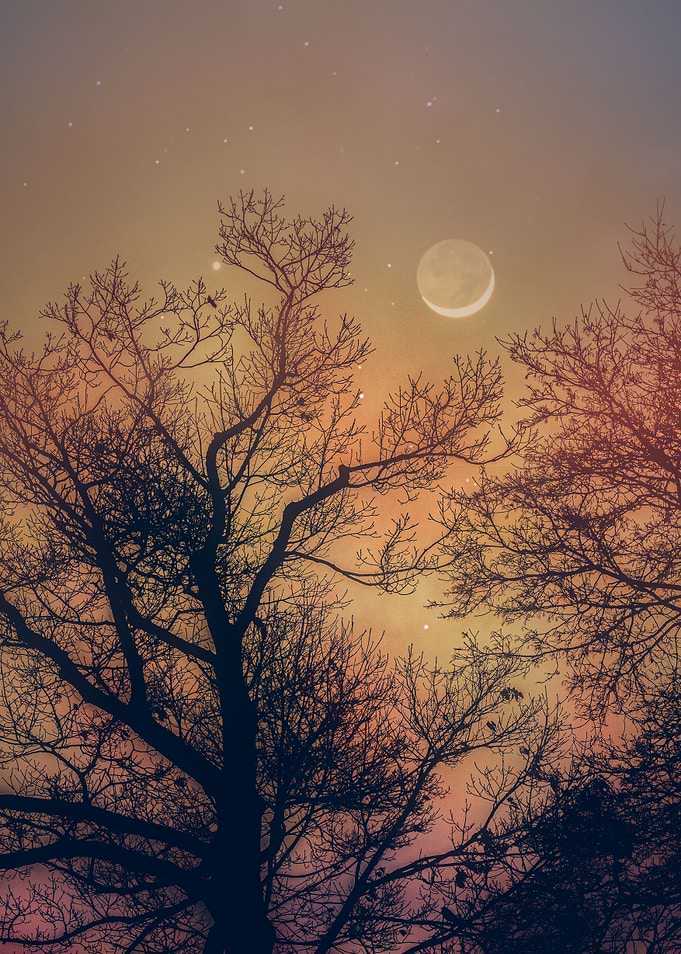 Beautiful Autumn Night