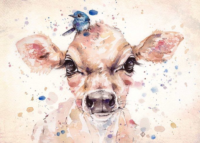 Little Calf