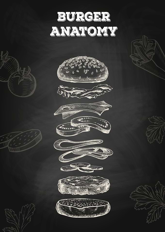 Burger anatomy