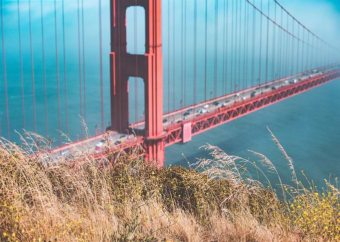 Grass with Golden Gate Bri