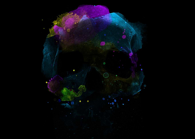 Skull