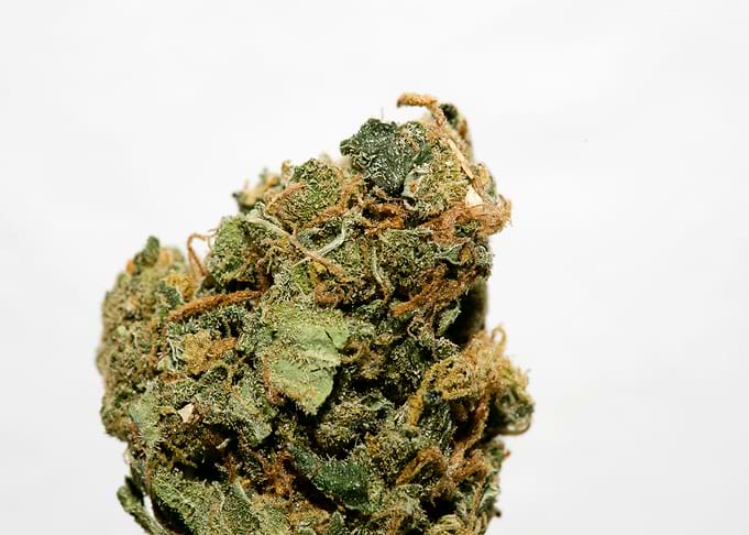 Lemon bubble super skunk