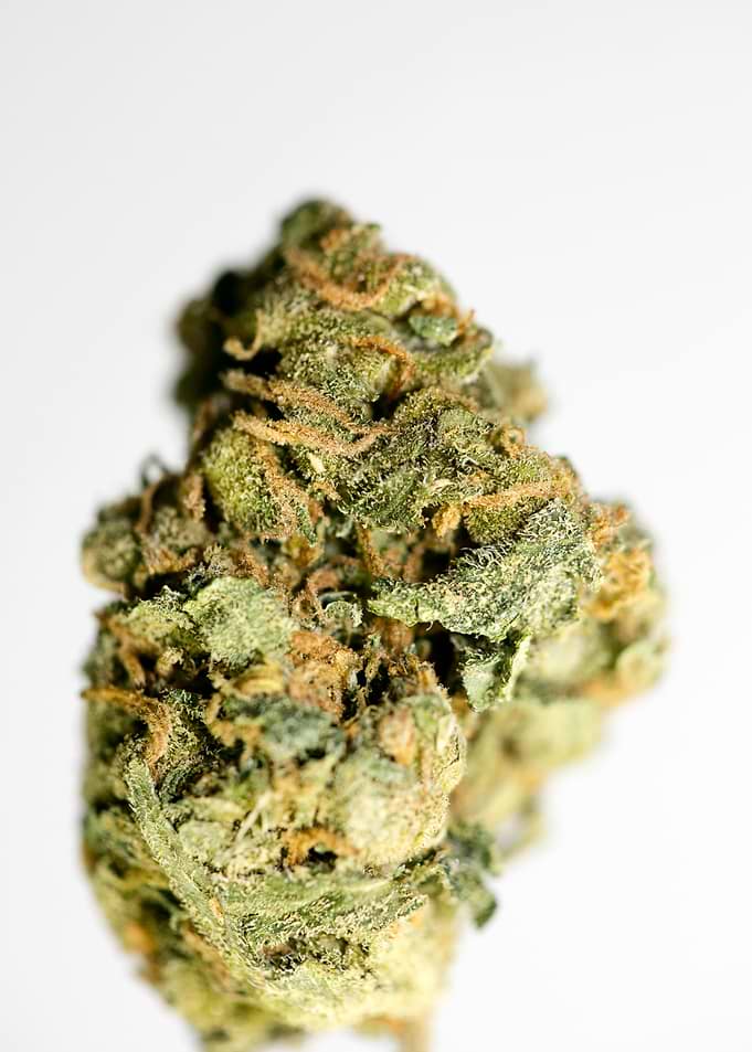 Lemon bubble super skunk