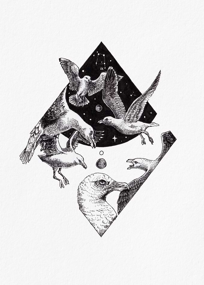 Flock