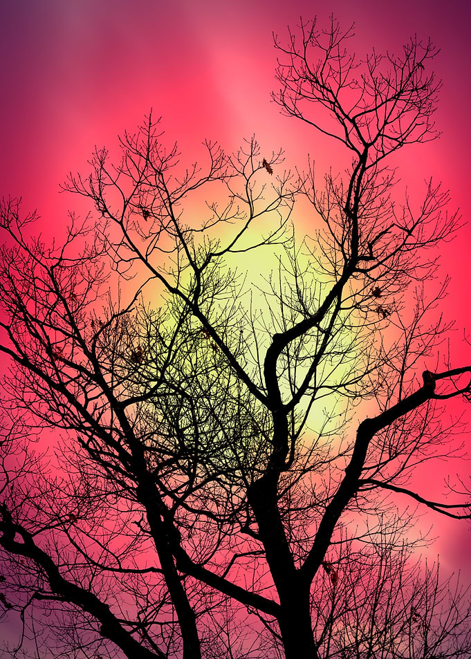 Red Sky At Dawn