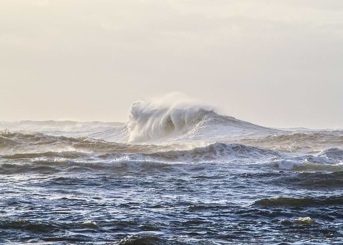 Majestic Wave