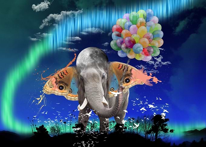 Butterphant