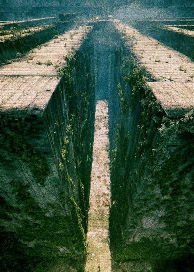 The Maze Runner
