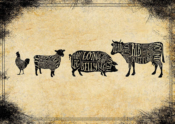 meat cuts kitchen art