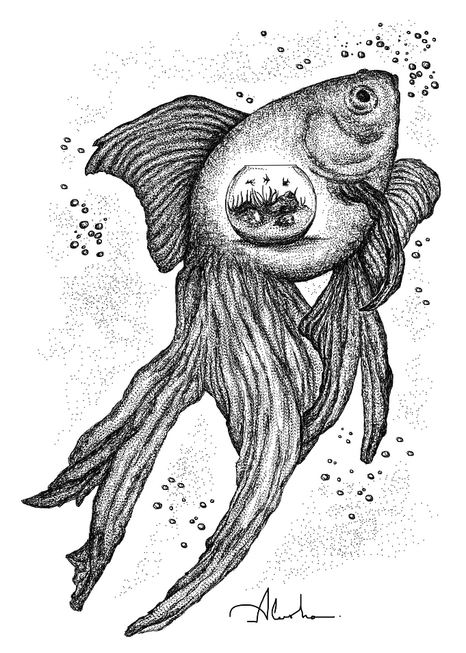 GOLD FISH