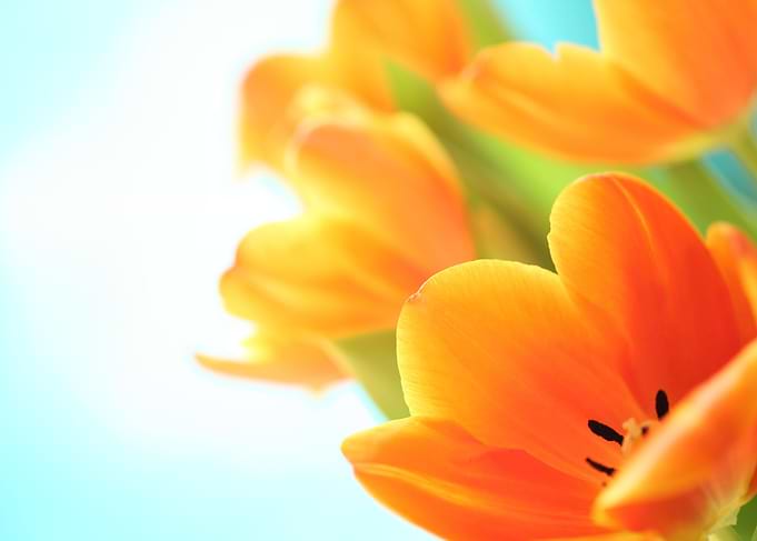 Happy Easter