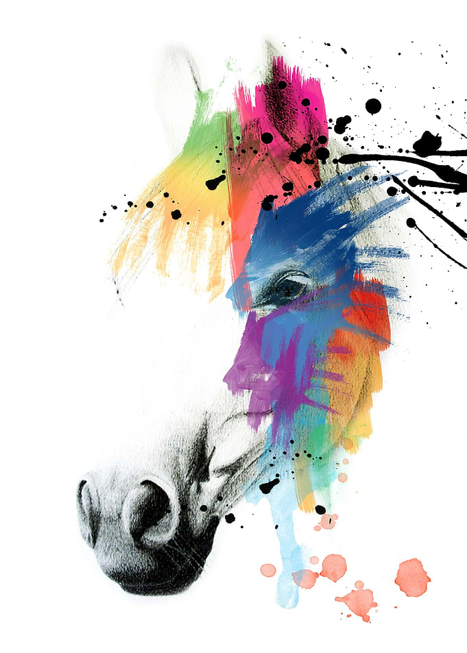 horse in colors