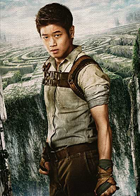 The Maze Runner