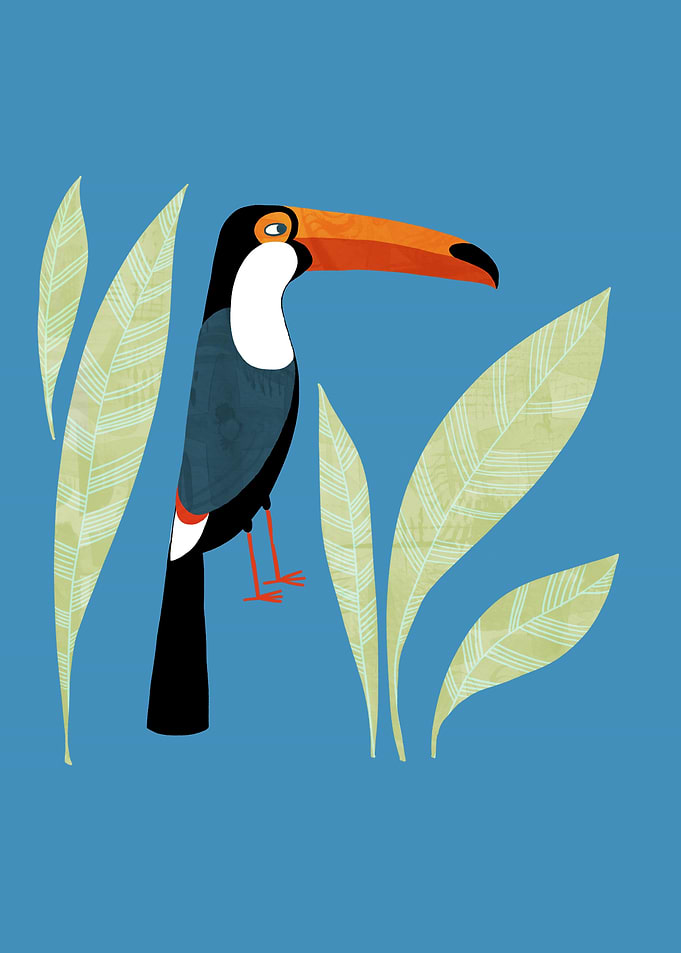 Toucan