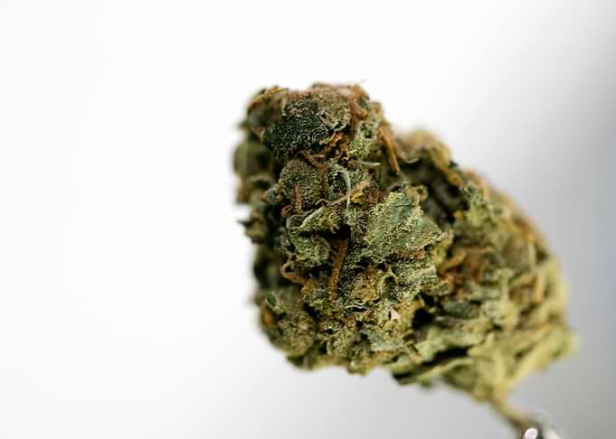 Lemon bubble super skunk