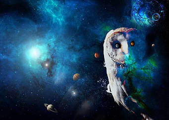 Owl