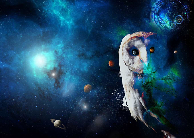 Owl