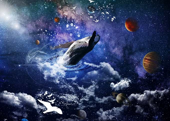Humpback