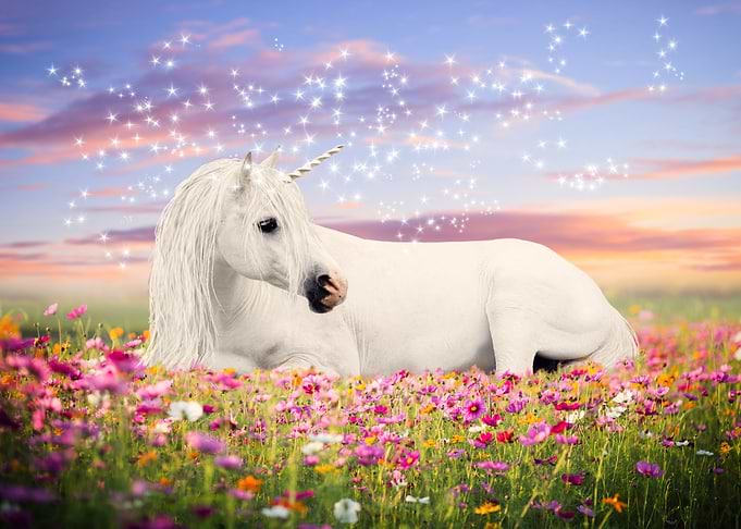 Unicorn with flowers