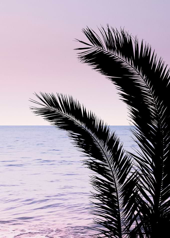 Palm Ocean Dream 1