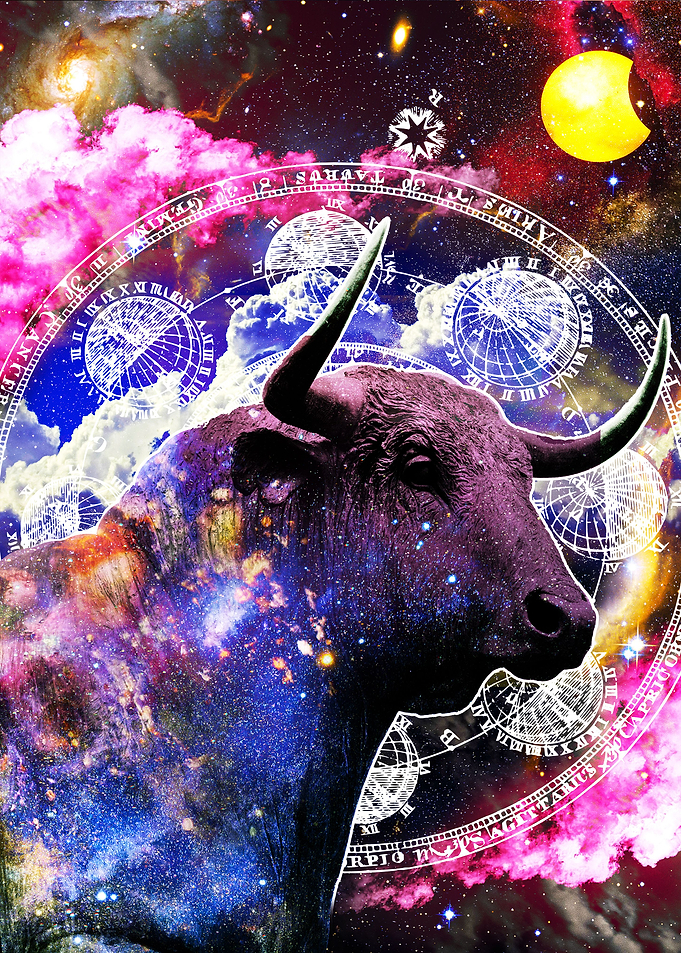Taurus Zodiac Wall art