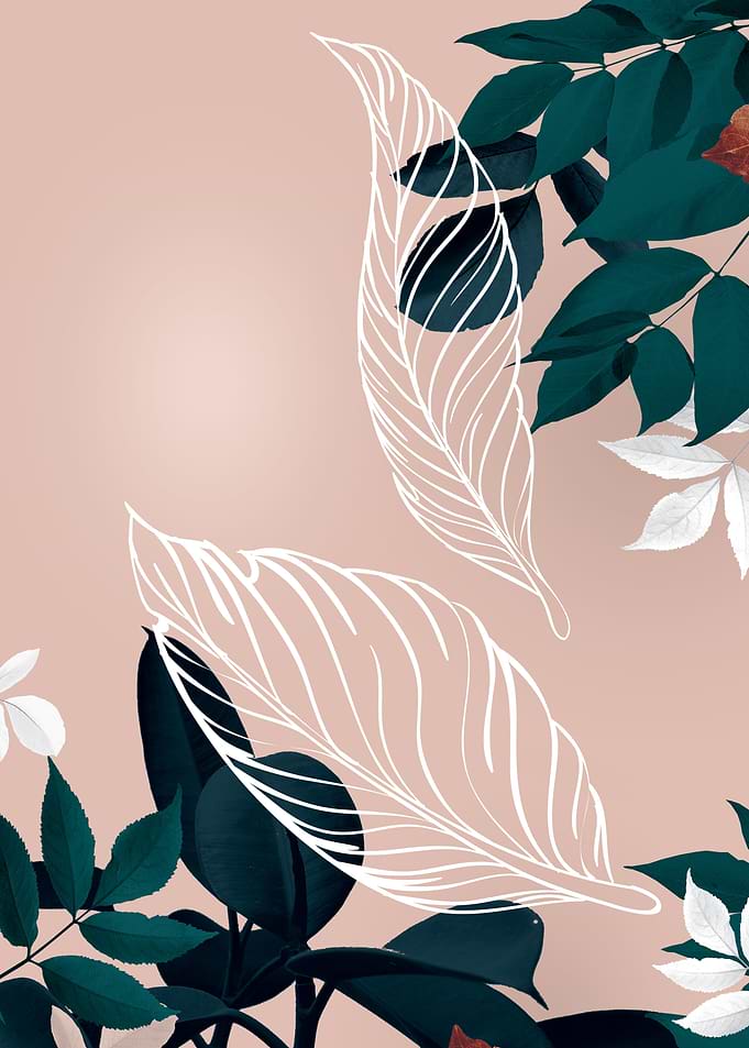 Leaves 3