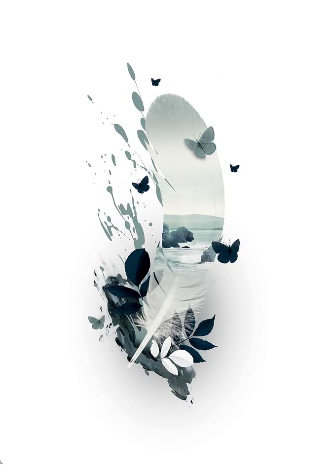 Feather 2