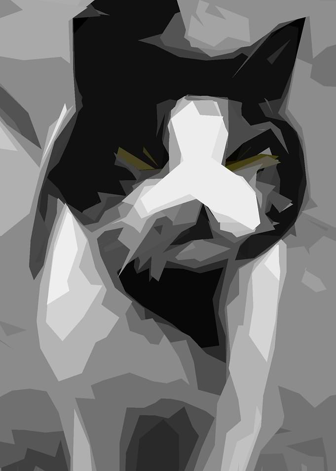 cat