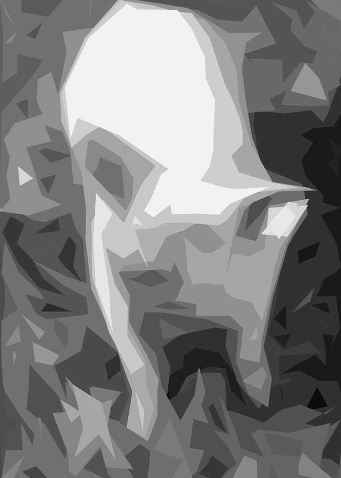 pig