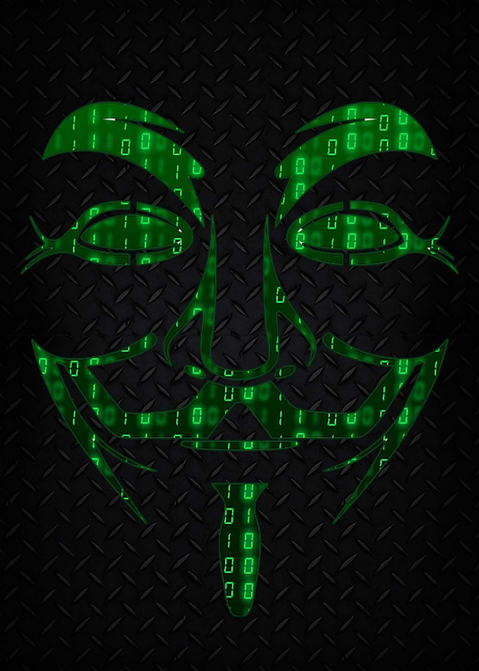 Anonymous Hacktivist