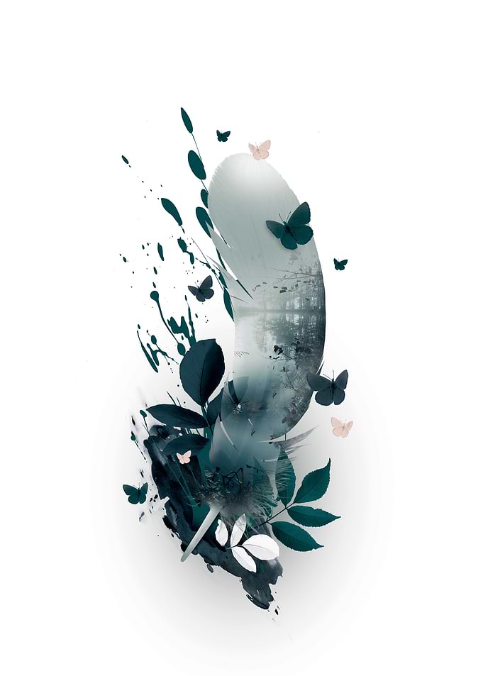Feather 2