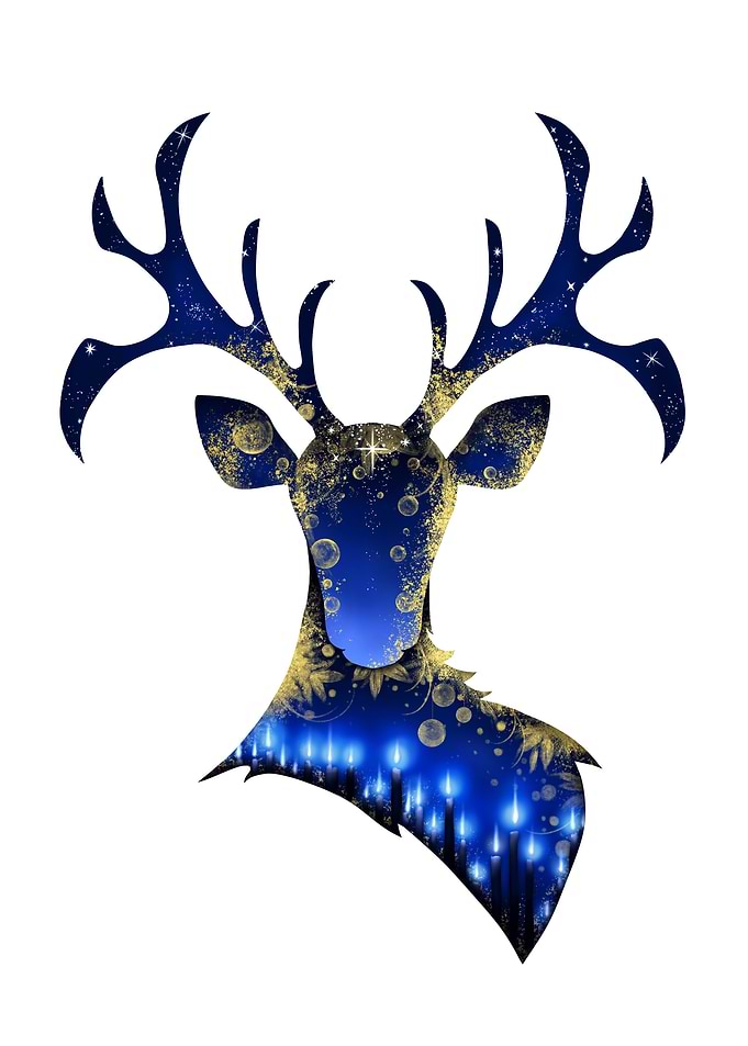 Wonder Deer Stag head