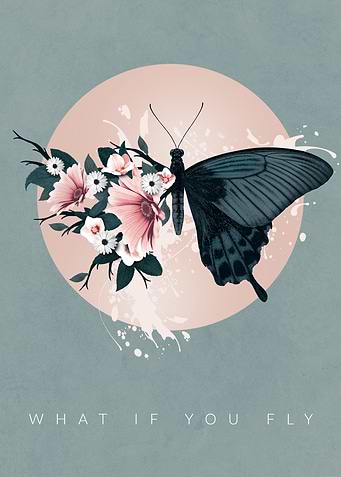 What if you fly