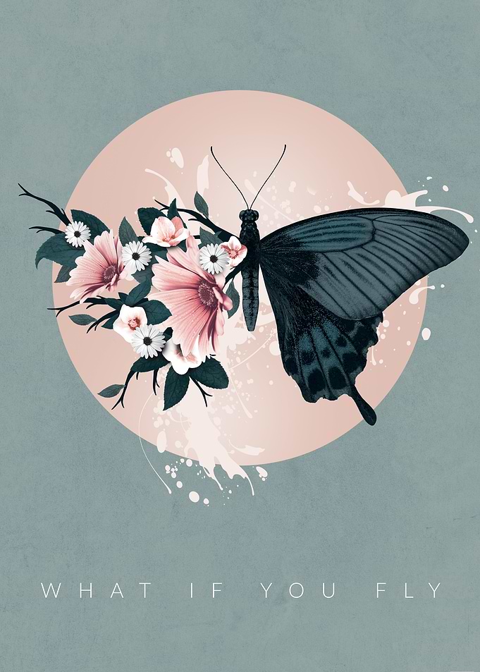 What if you fly