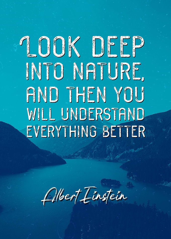 Albert Einstein Quote