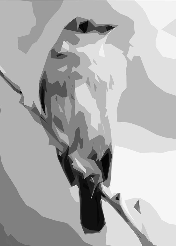 bird