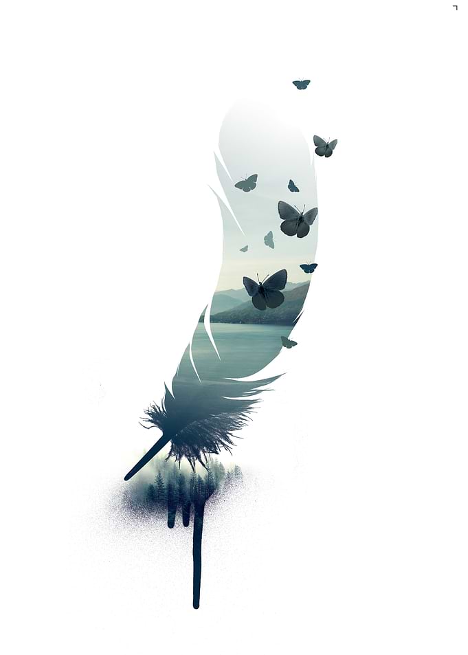 Ocean and feather