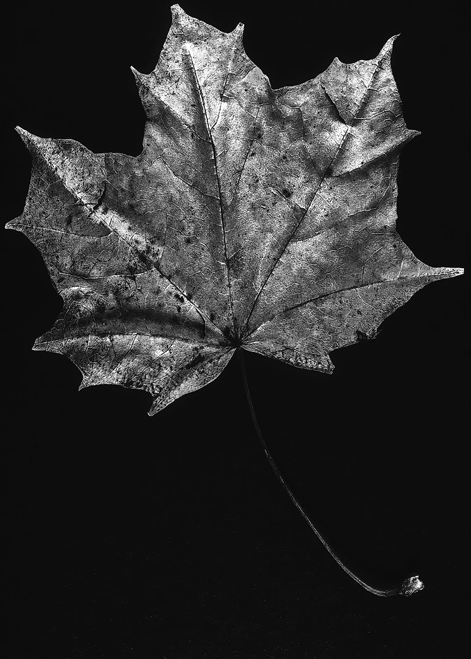 Slow Decay