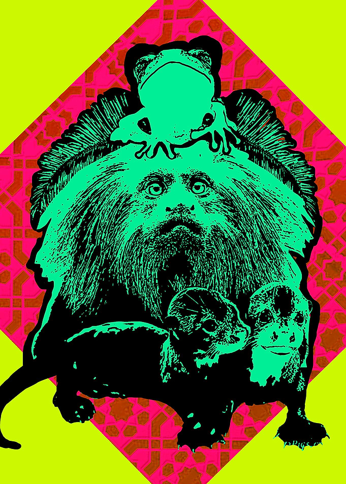 Animales Amaznicos